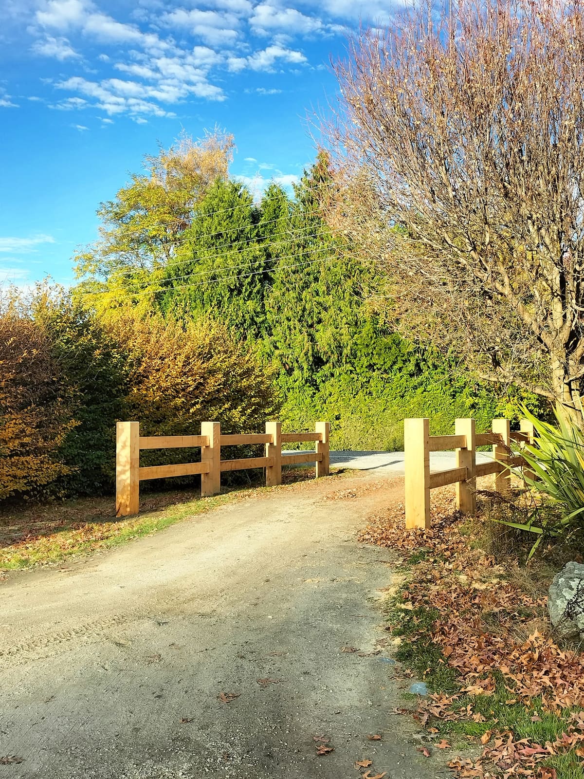 Macrocarpa post and rail with gate in autumn, Queenstown